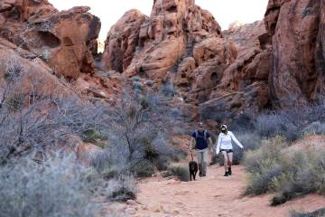 Hikers, who did not wish to be identified, walk their dog at the Valley of Fire State Park on ...