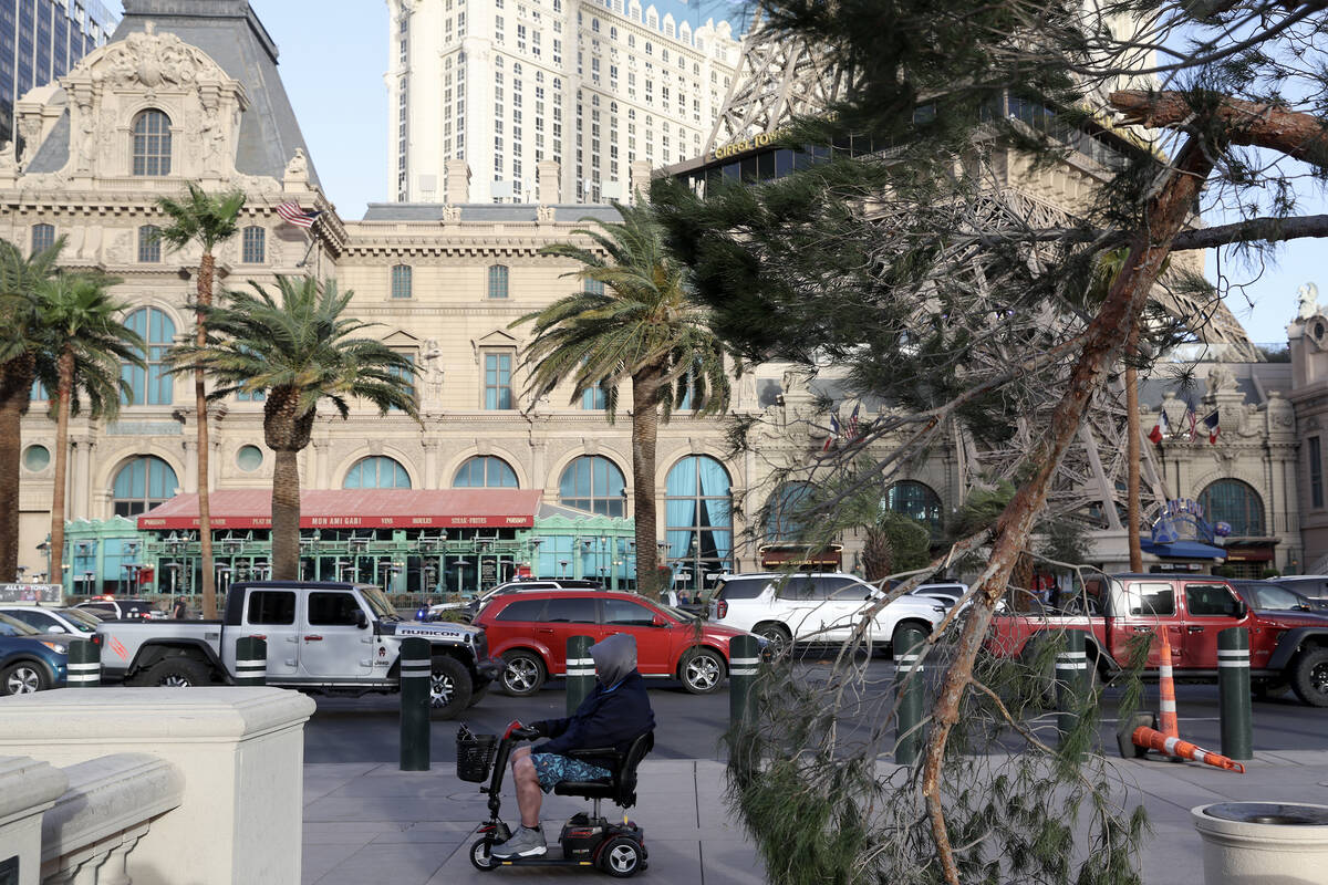 A tree branch is broken at the Bellagio Fountain as a high wind warning is in effect on Saturda ...