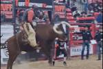 Watch UNLV football coach Barry Odom ride a live bull — VIDEO