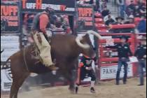 UNLV football coach Barry Odom rides a live bull at a “Horns & Helmets” event at the South ...