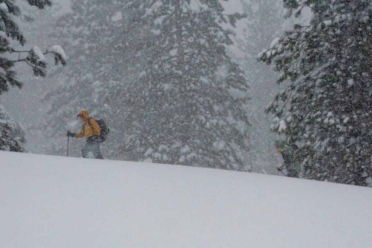 A person skis during a snow storm Sunday, March 3, 2024, in Olympic Valley, Calif. (AP Photo/Br ...