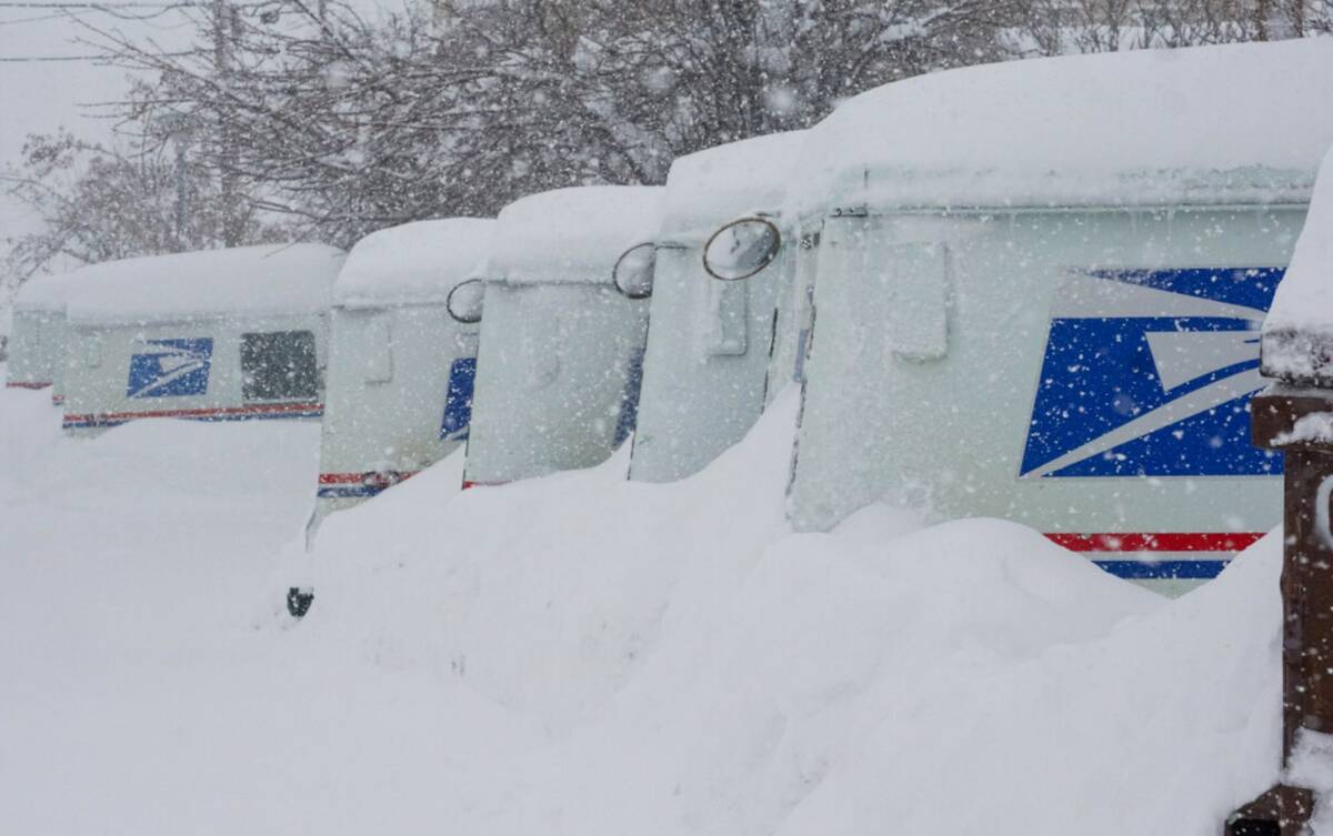 USPS trucks are covered in snow during a storm, Sunday, March 3, 2024, in Truckee, Calif. (AP P ...