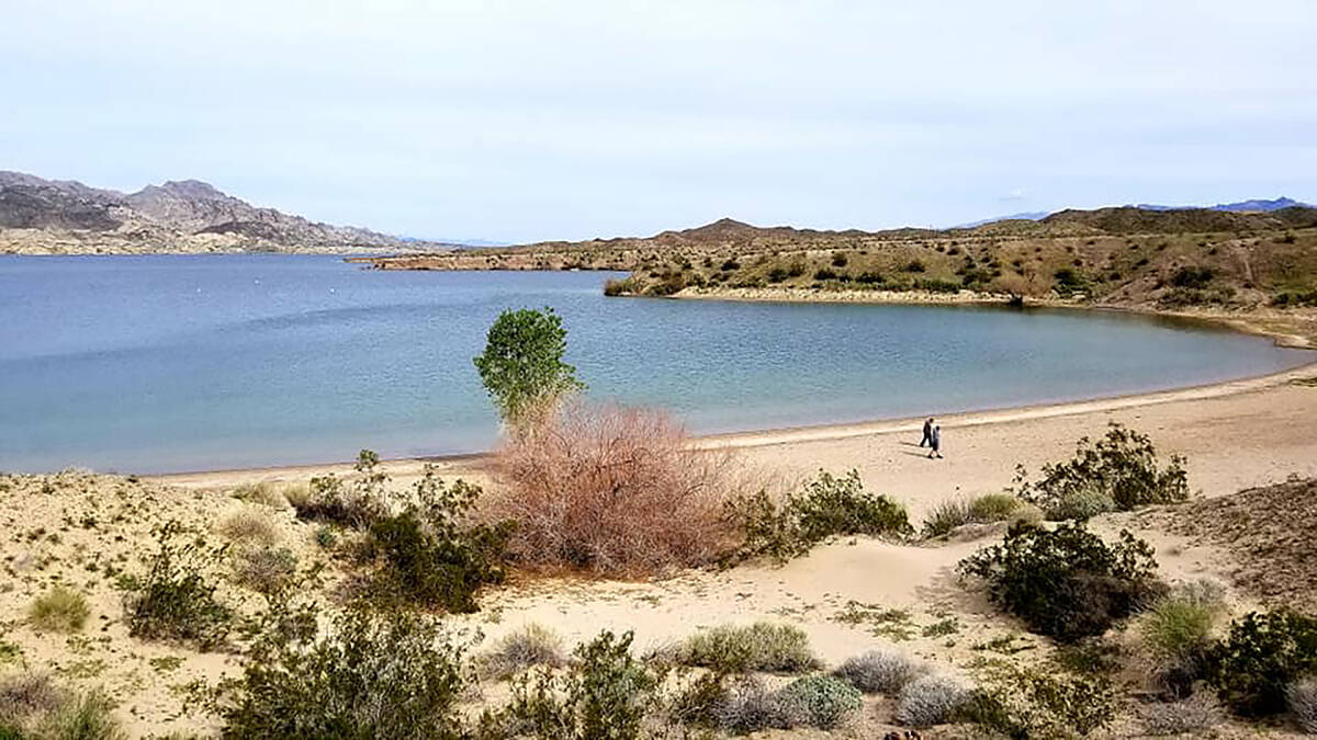 A pair of beach walkers at South Arizona Telephone Cove at Lake Mohave during a previous spring ...