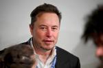 The Elon Musk effect: Why more businesses want to incorporate in Nevada