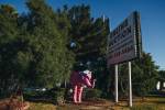Auction for prime Las Vegas Strip land (and its pink elephant) opens