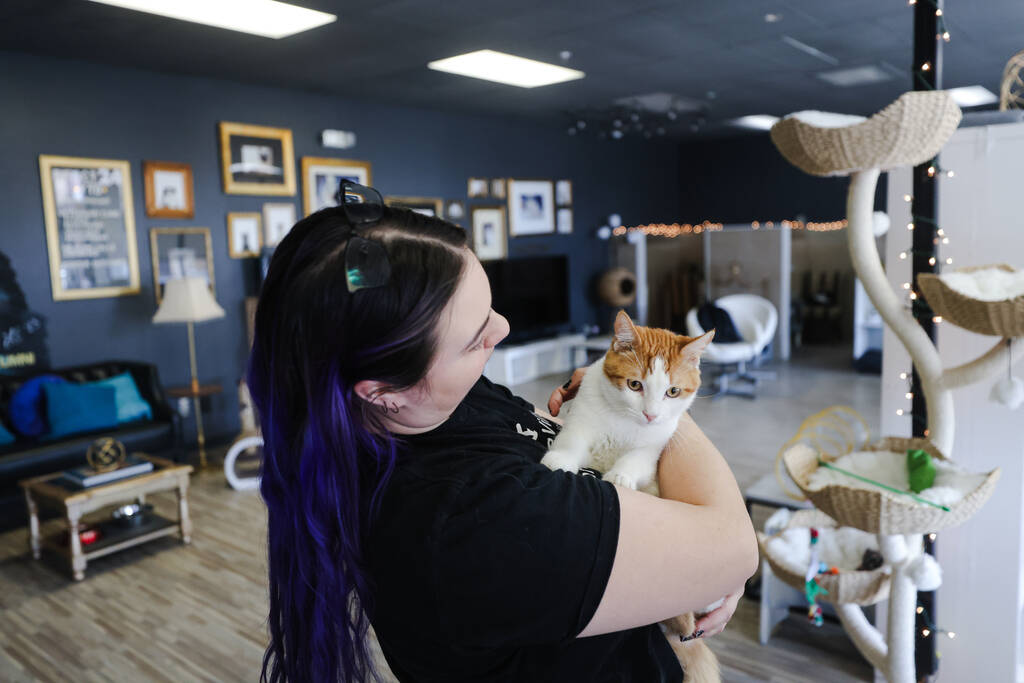 Brittany Rutledge, feline program coordinator, holds Dillon at Hearts Alive Village Cat Cafe, w ...