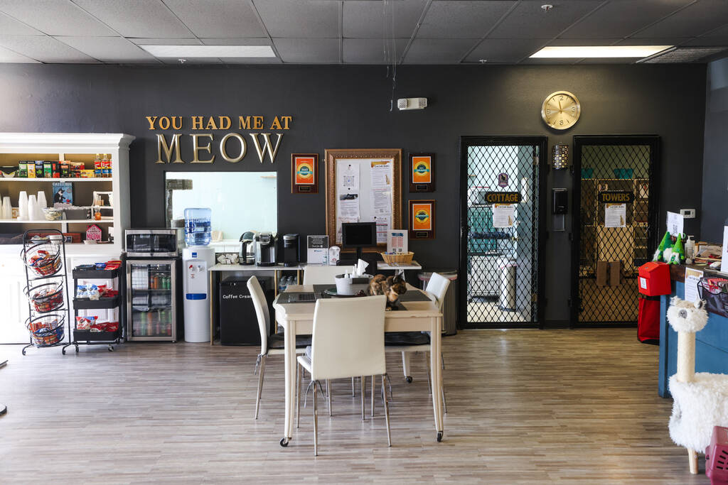 Hearts Alive Village Cat Cafe, where guests can spend time with adoptable cats, in Las Vegas, W ...