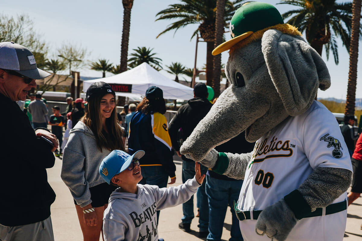 Oakland A’s mascot Stomper greets fans during a Big League Weekend game between the Oakl ...
