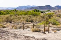Ash Meadows National Wildlife Refuge is seen in the Amargosa Valley of southern Nye County, on ...