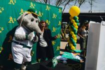 Oakland A’s mascot Stomper poses for photographs with fans during a Big League Weekend g ...