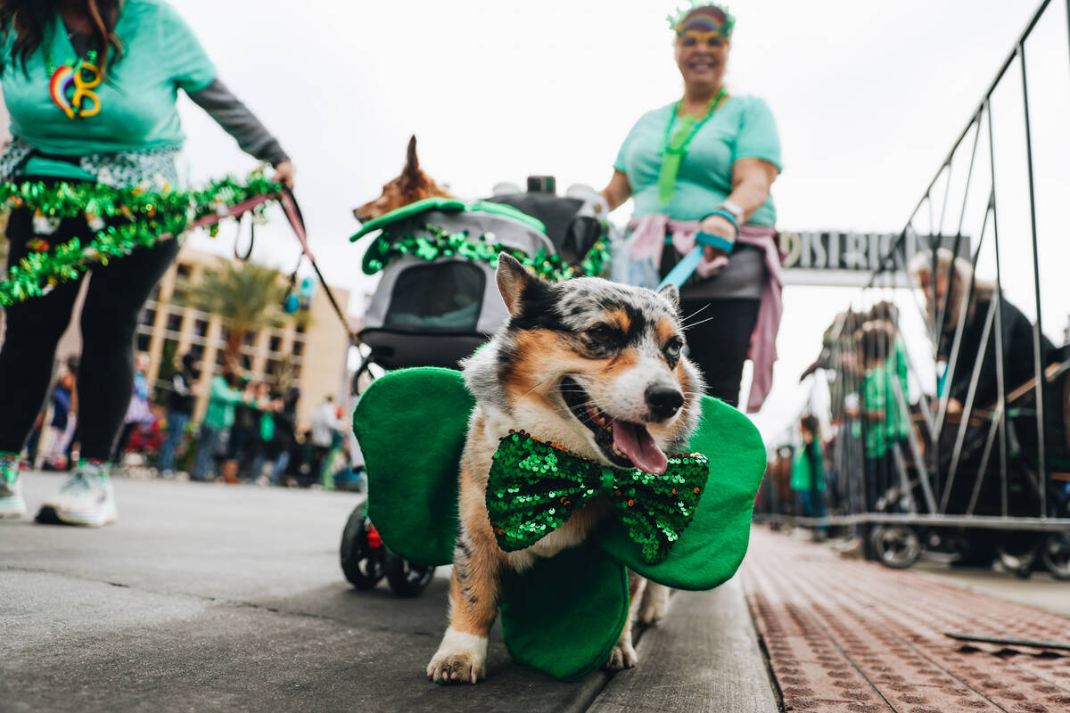 Henderson celebrates 56th annual St. Patrick’s Day event — PHOTOS