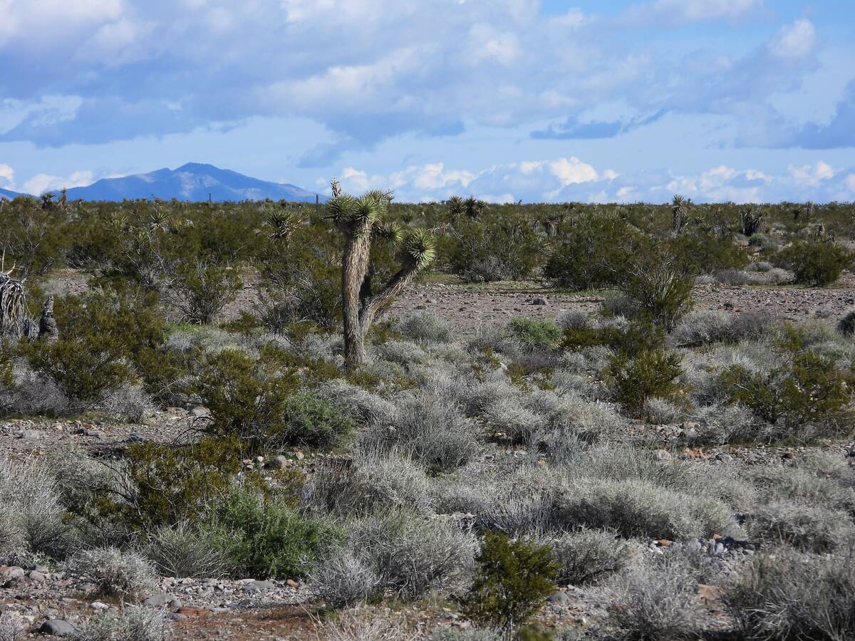 The proposed site for the Rough Hat Clark Solar Project is seen in a provided photo. (Basin and ...