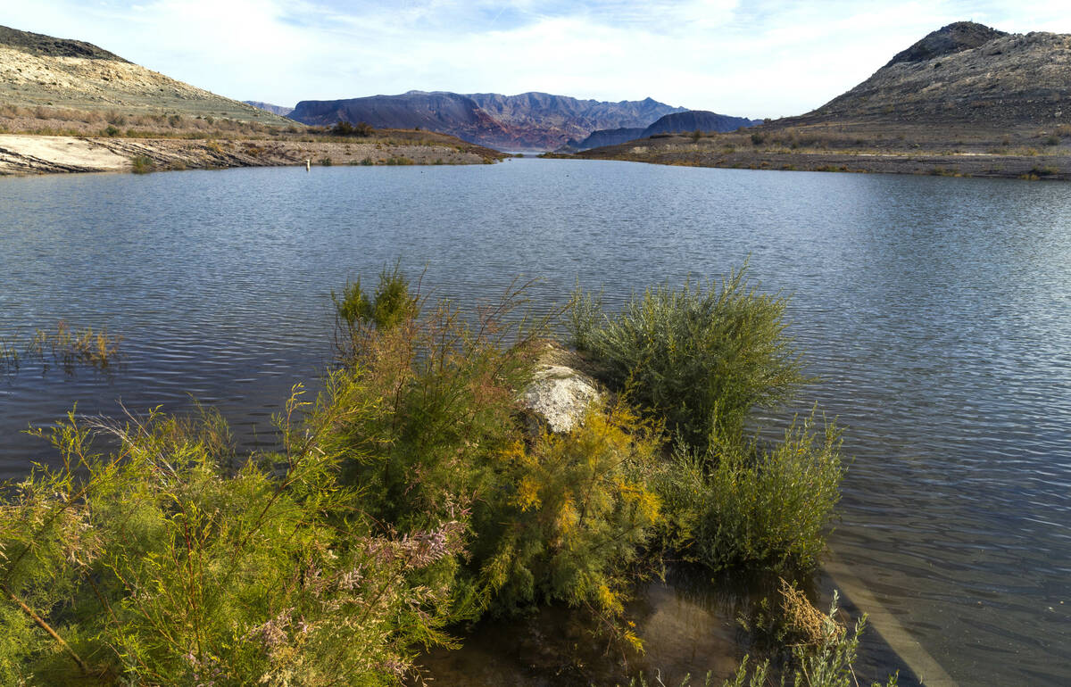 Boulder Harbor is seen at the Lake Mead National Recreation Area on Friday, Jan. 19, 2024, outs ...