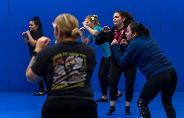 Attendees finish a maneuver in a defensive stance while learning defensive tactics with the Met ...
