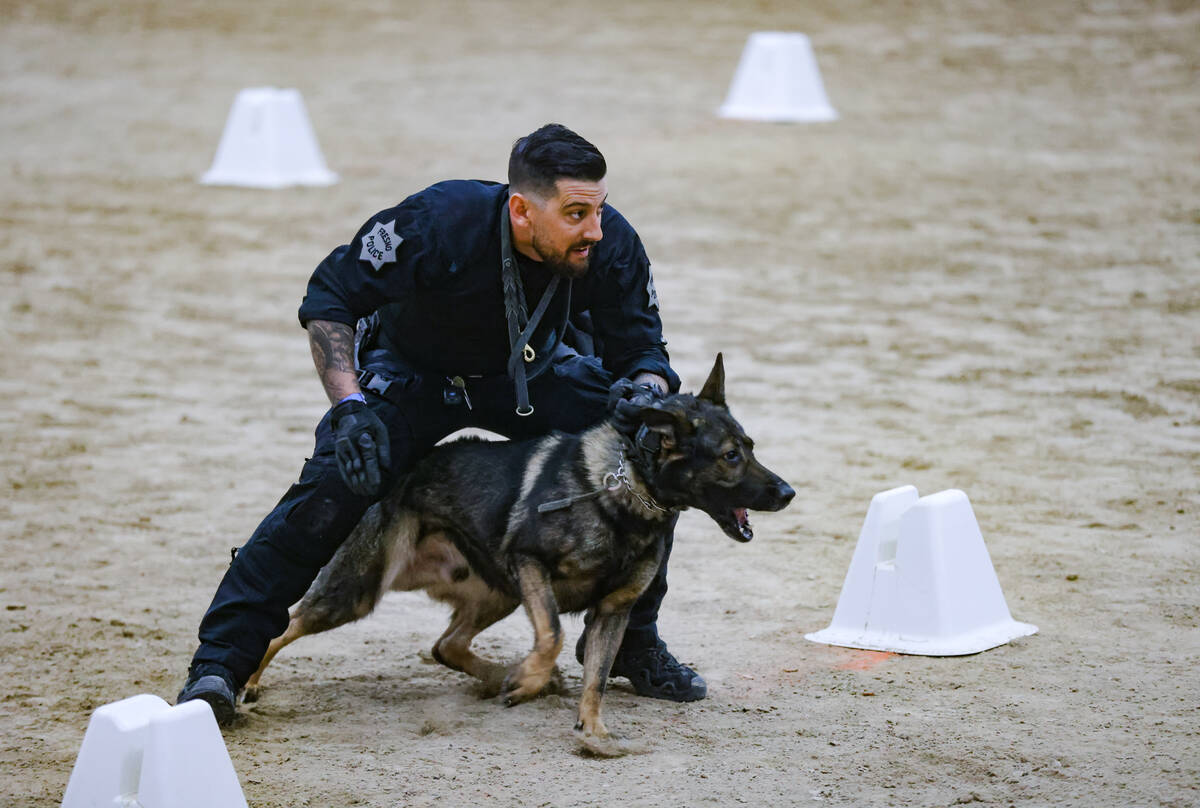 Fresno police department officer Sean Loy handles his dog Major during the 32nd Annual Police K ...