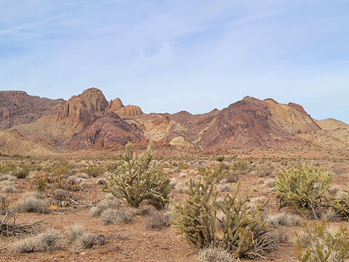 The Highland Mountains of Avi Kwa Ame as seen to the west of U.S. Highway 95, which leads to Se ...