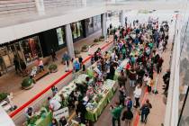 Summerlin Downtown Summerlin will host the Giant Student Farmers Market organized by Green Our ...