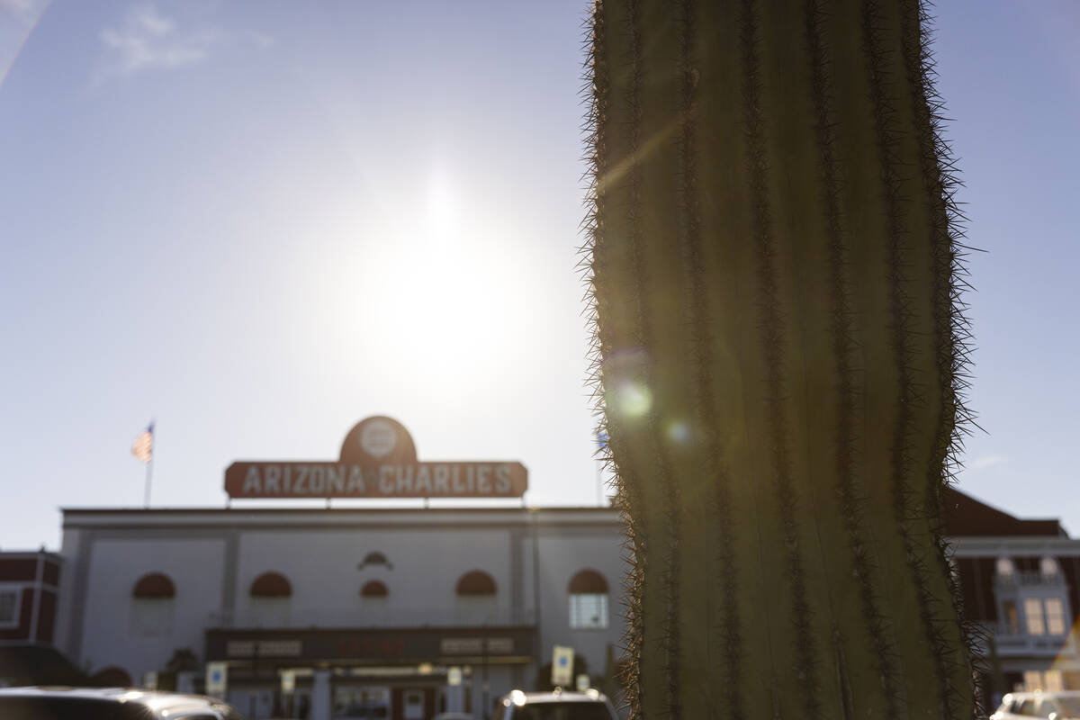 A saguaro cactus is seen outside of Arizona Charlie’s Decatur on Tuesday, April 16, 2024 ...