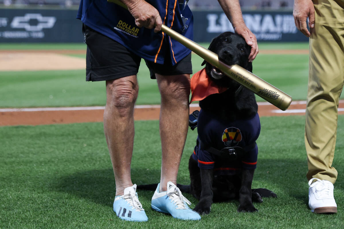 Finn the Bat Dog is honored with a golden bat for his service as the Las Vegas Aviators’ ...