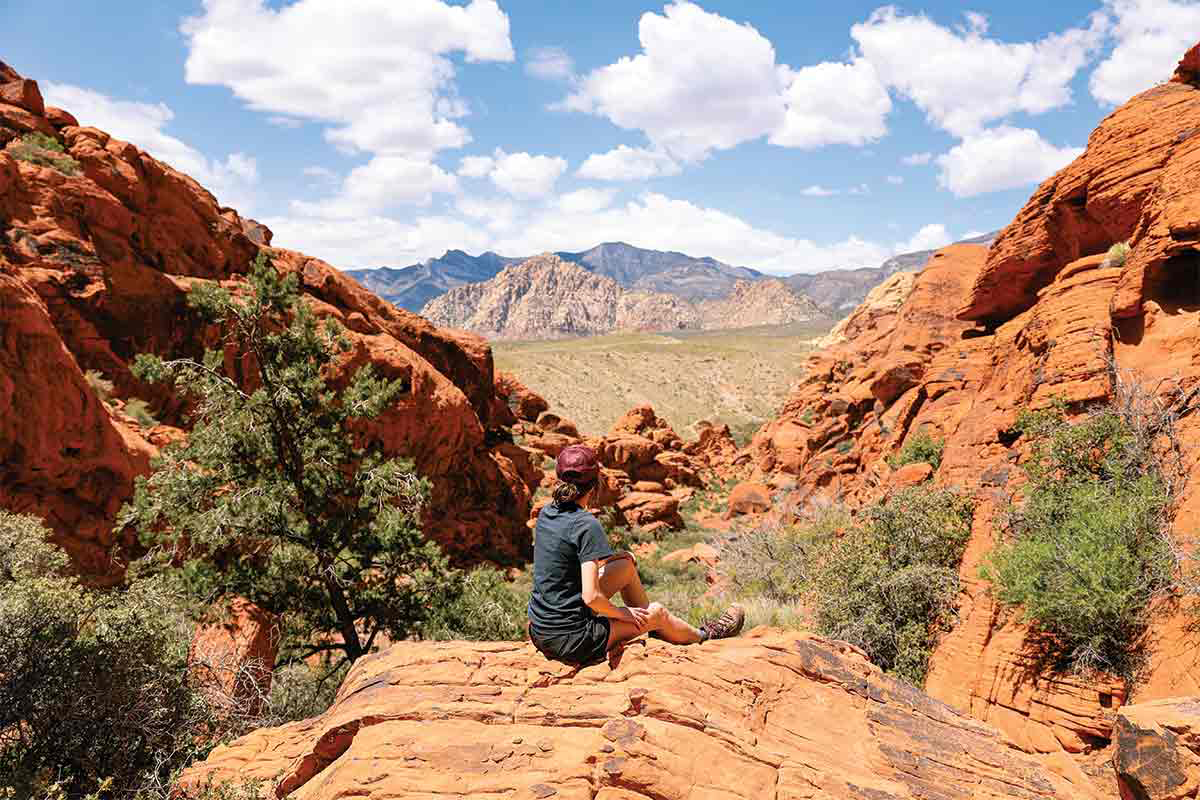 Unplugged in Nevada - Vimarsana News