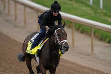 Kentucky Derby hopeful Fierceness works out at Churchill Downs Tuesday, April 30, 2024, in Loui ...