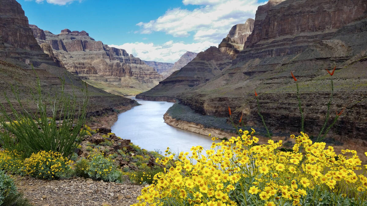 A view at the bottom of the Grand Canyon West in Arizona Monday April 3, 2017. (Las Vegas Revie ...