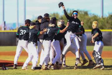Palo Verde celebrates as they win a Class 5A high school baseball Southern Region playoff game ...
