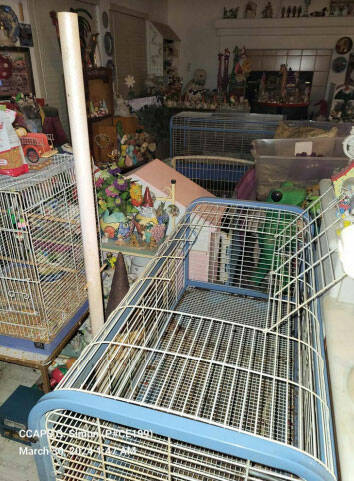 Photos provided by Clark County Animal Protection Services show the inside of Carolyn Luke's ho ...