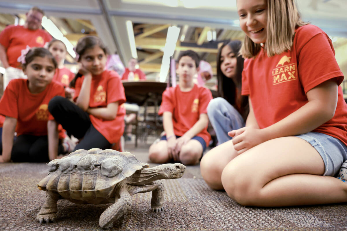 Goldfarb Elementary School students, including contest winner Keira S., right, check out Mojave ...