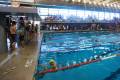 Palo Verde rolls to 10th straight boys swimming state title