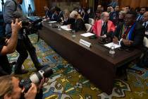 Journalists took images of South Africa's legal team, with Ambassador of the Republic of South ...