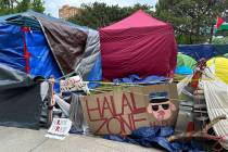 A pro-Palestinian encampment is shown Tuesday, May 28, 2024, on the campus of Wayne State Unive ...