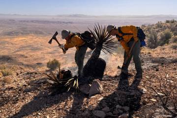 Firefighters work Tuesday morning to contain the Bird Springs Fire, located two miles south of ...