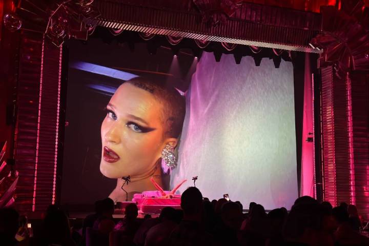 A shot of Voltaire Belle De Nuit pre-show at The Venetian at the club's opening night on Friday ...