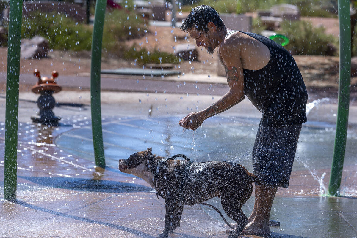 Las Vegas heat wave likely to break June records | Las Vegas Weather - Vimarsana News