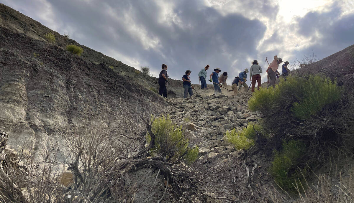 In a scene from the documentary "T.REX," vertebrate paleontologist Tyler Lyson, Natal ...