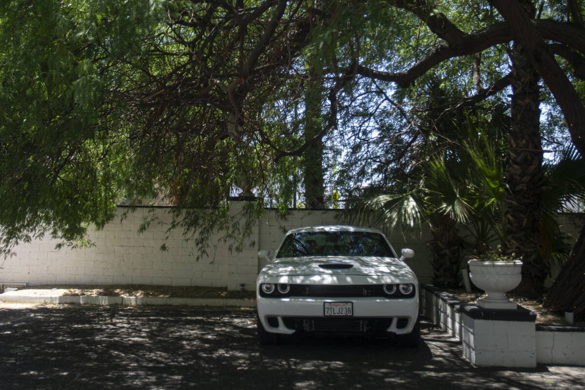 Parking spots with heavy tree coverage outside the Lexi Hotel on Thursday, June 20, 2024, in La ...