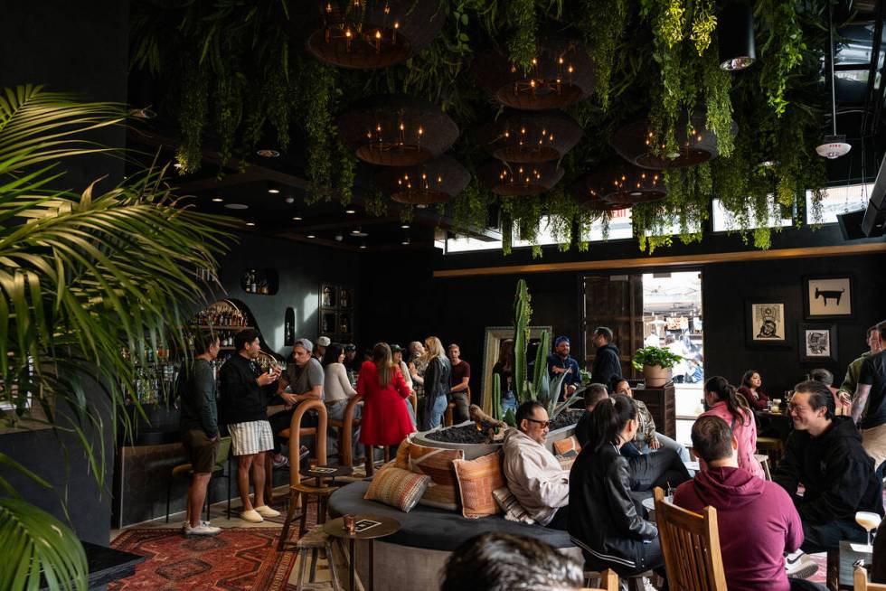 Todo Bien is hosting a National Tequila Day celebration Wednesday. (Todo Bien)