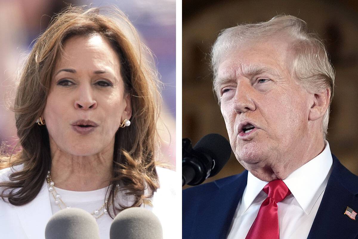 Trump, Harris agree to presidential debate on ABC | Politics and ...