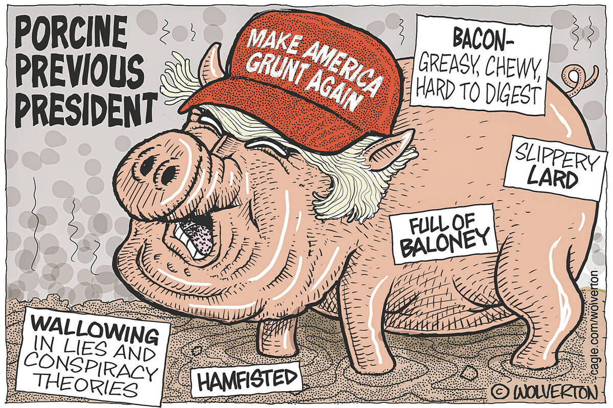 Where FEMA spent its money | CARTOONS | Drawing Board | Opinion