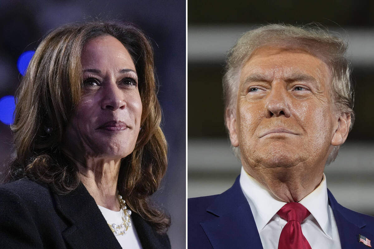 Las Vegas Odds 2024 Presidential Election Zelda Nicolea