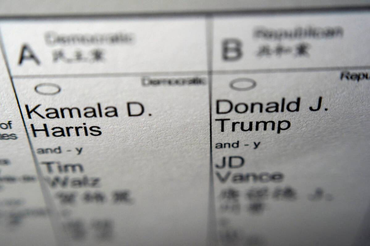 Candidates for president and vice president of the United States, Democrats Vice President Kama ...