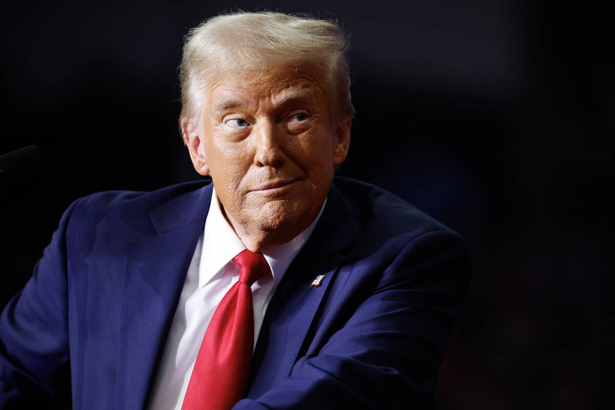 Donald Trump’s top campaign promises, explained Politics and