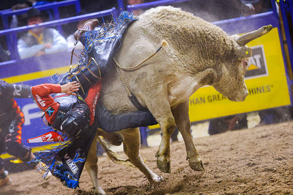 National Finals Rodeo 2024 Vegas Lucie Priscella