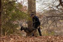 An NYPD police officer and K-9 dog search around a lake in Central Park, Monday, Dec. 9, 2024, ...