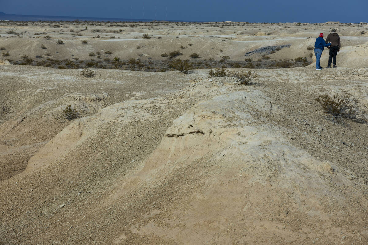 Tule Springs Fossil Beds National Monument. Established on December 19, 2014 as the 405th unit ...