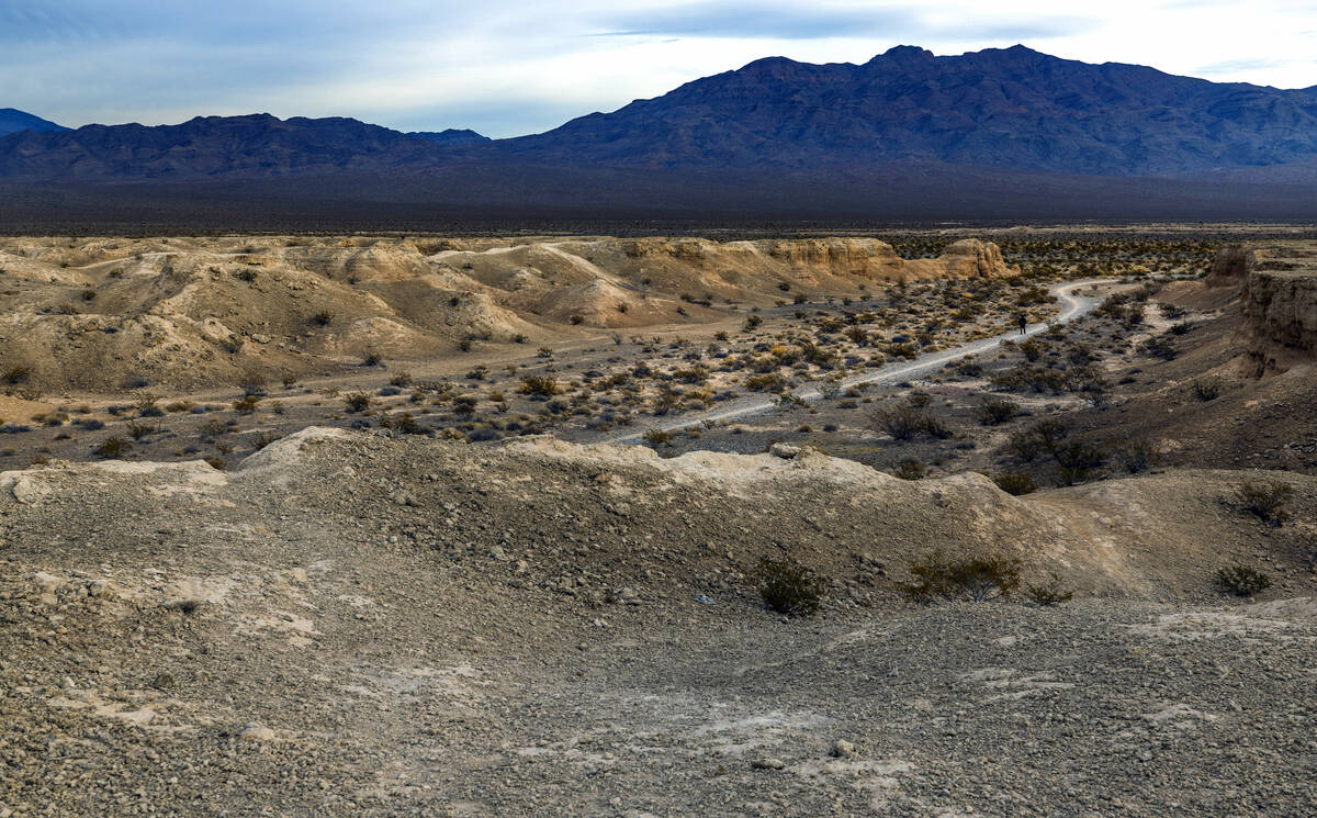 Tule Springs Fossil Beds National Monument. Established on December 19, 2014 as the 405th unit ...