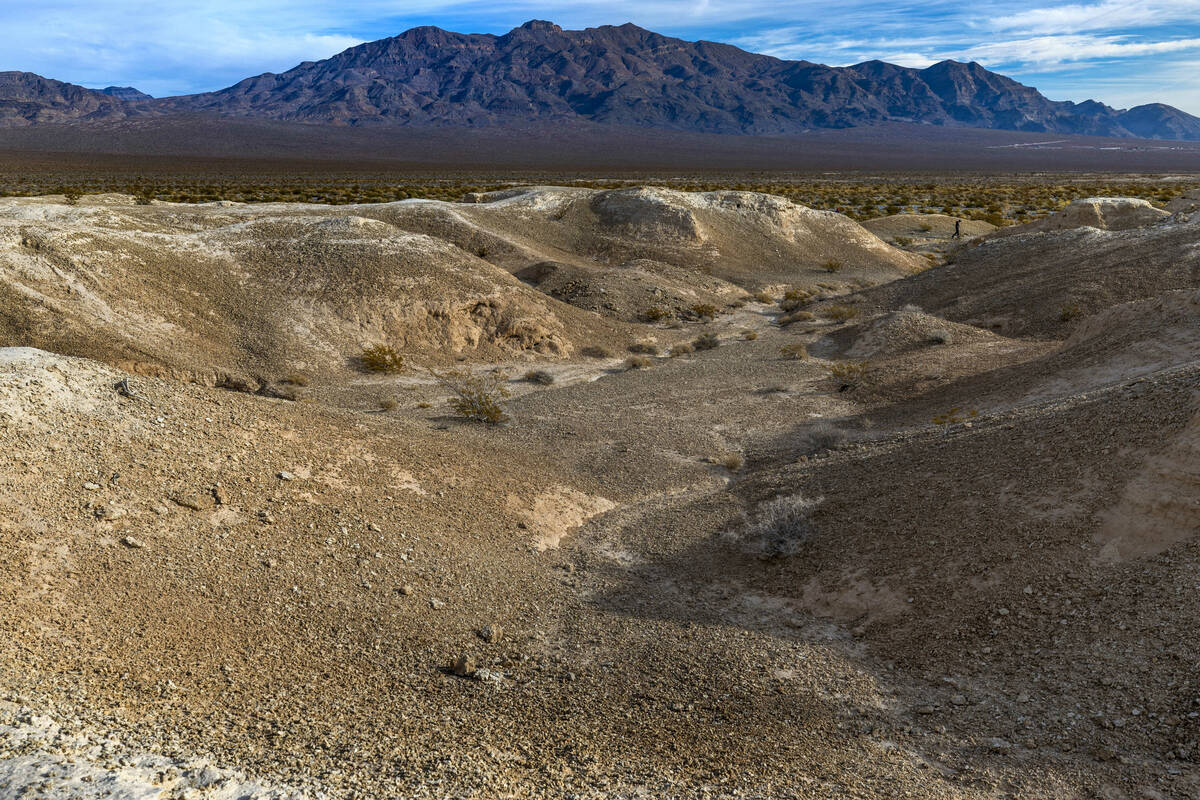 Tule Springs Fossil Beds National Monument. Established on December 19, 2014 as the 405th unit ...