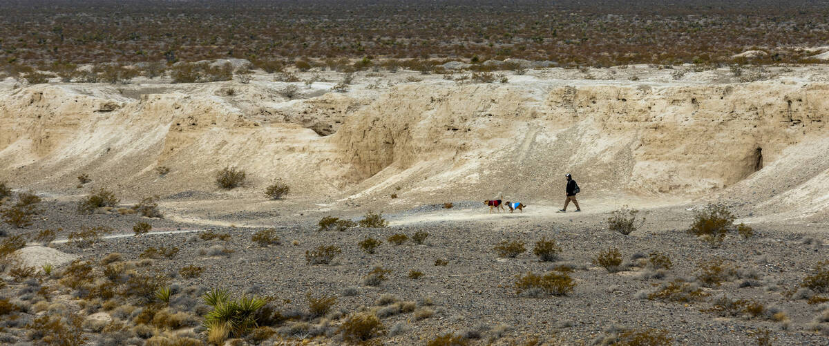 Tule Springs Fossil Beds National Monument. Established on December 19, 2014 as the 405th unit ...