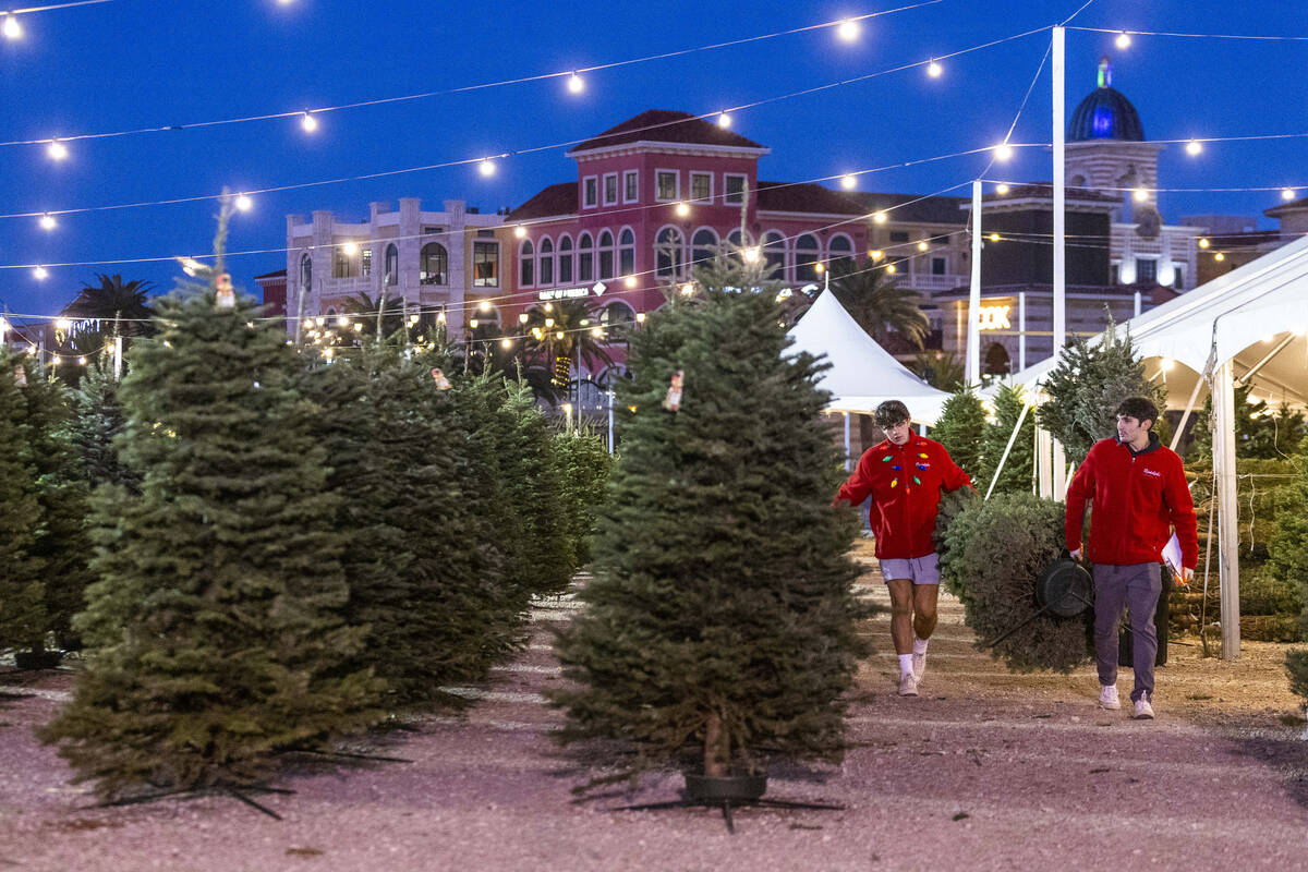 How to recycle Christmas trees in Southern Nevada | Local Las Vegas | Local